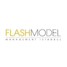 FLASH MODEL
